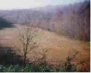 Site of old mill pond